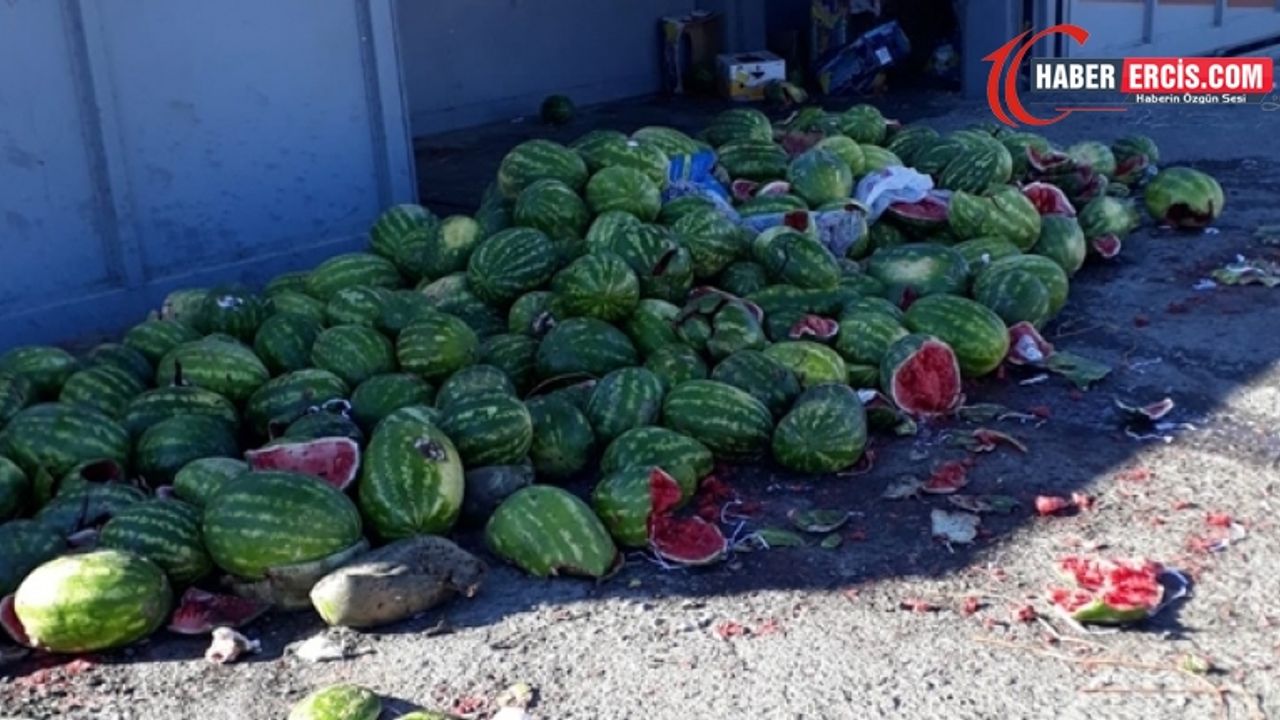 Van'da 5 bin 430 ton karpuz çöp oldu