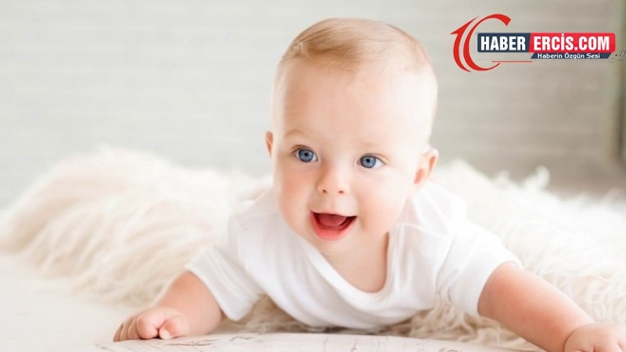 Malhun İsminin Anlamı Nedir? Malhun Ne Demek?