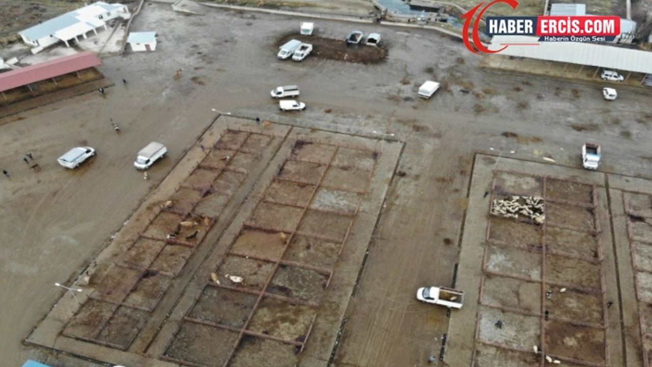 Yem fiyatları uçtu, Van’da hayvancılık durma noktasına geldi