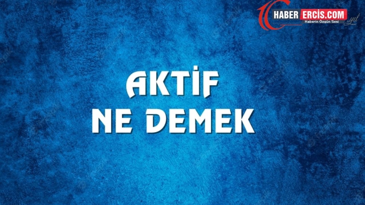 Aktif Ne Demek, Ne Anlama Gelir? Aktif Kelimesi TDK Sözlük Anlamı Nedir