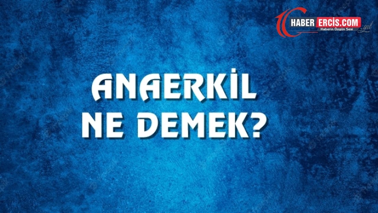 Anaerkil Ne Demek, Ne Anlama Gelir? Anaerkil Kelimesi TDK Sözlük Anlamı Nedir?