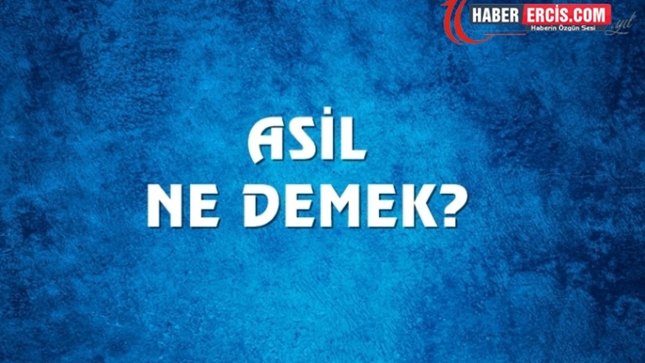 Asil Ne Demek, Ne Anlama Gelir? Asil Kelimesi TDK Sözlük Anlamı Nedir?