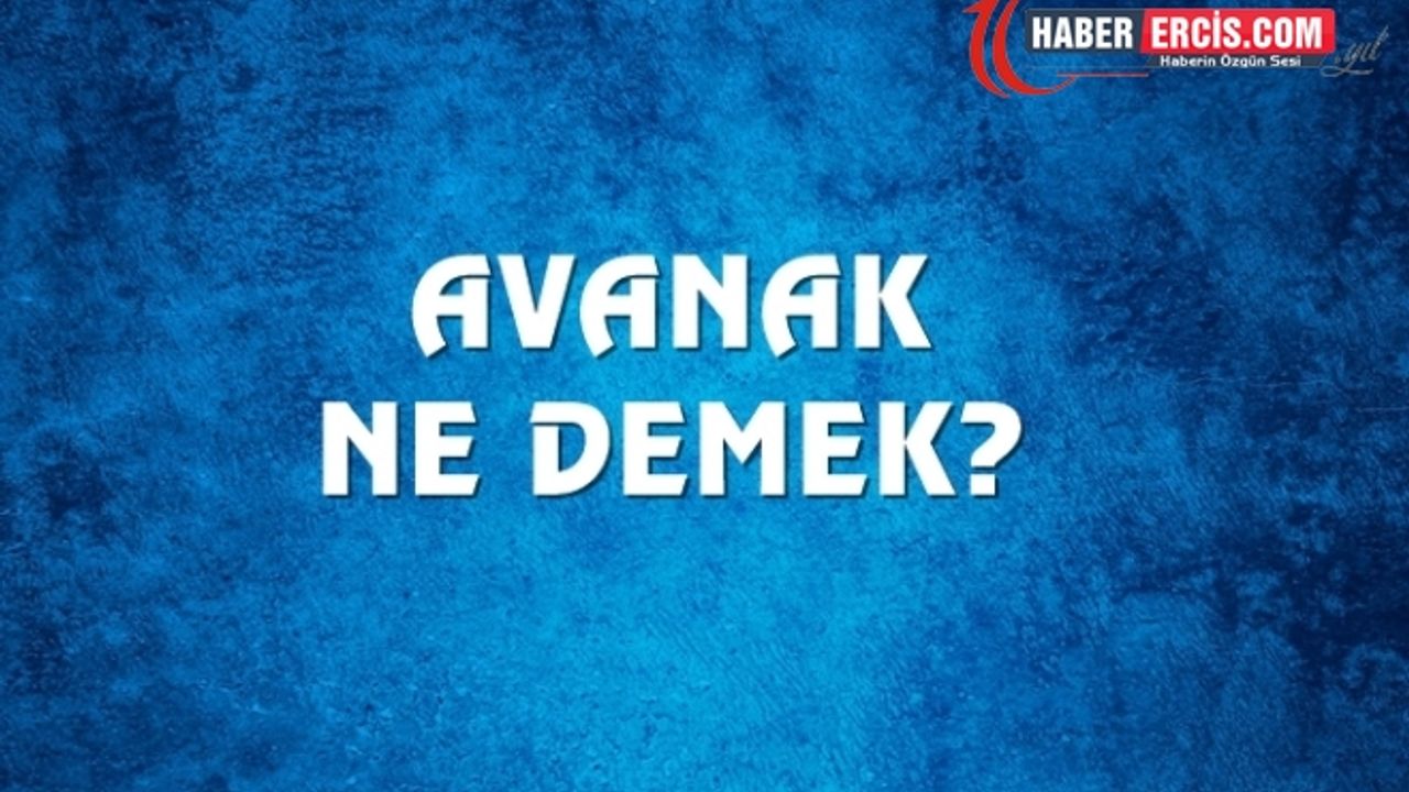 Avanak Ne Demek, Ne Anlama Gelir? Avanak Kelimesi TDK Sözlük Anlamı Nedir?