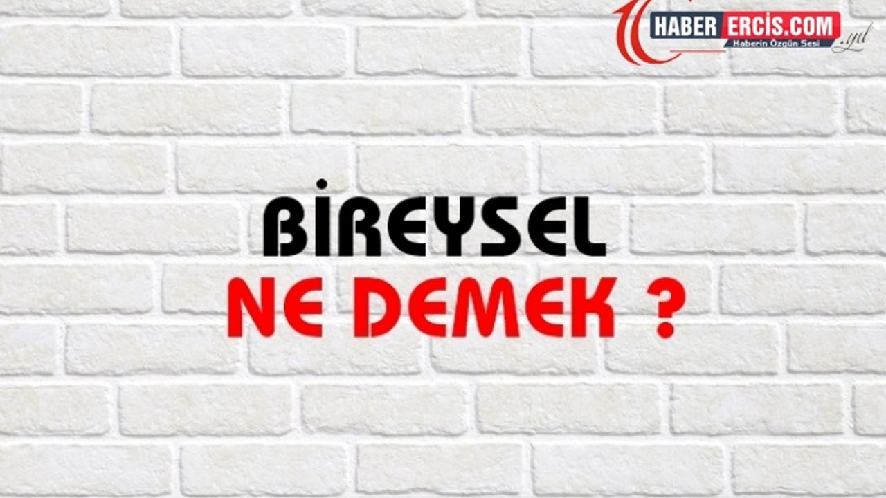 Bireysel Ne Demek Ne Anlama Gelir Bireysel Kelimesi Tdk Sözlük Anlamı Nedir Erciş Haber 9319