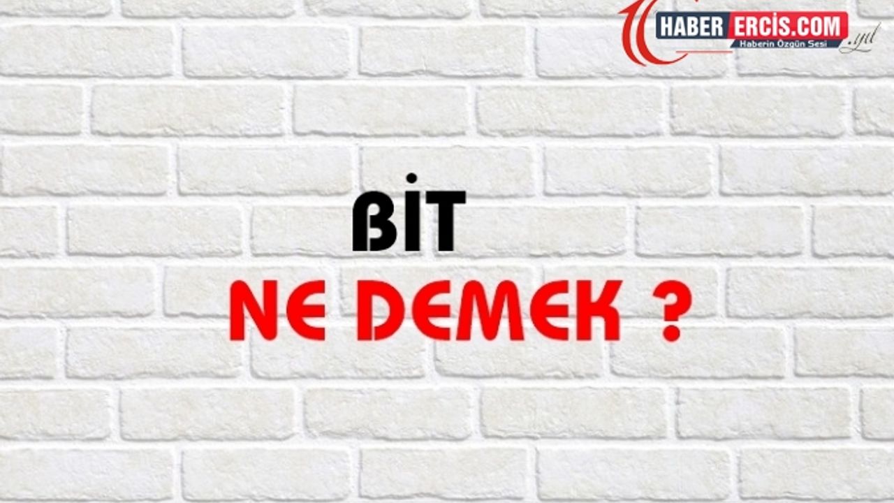Bit Ne Demek, Ne Anlama Gelir? Bit Kelimesi TDK Sözlük Anlamı Nedir