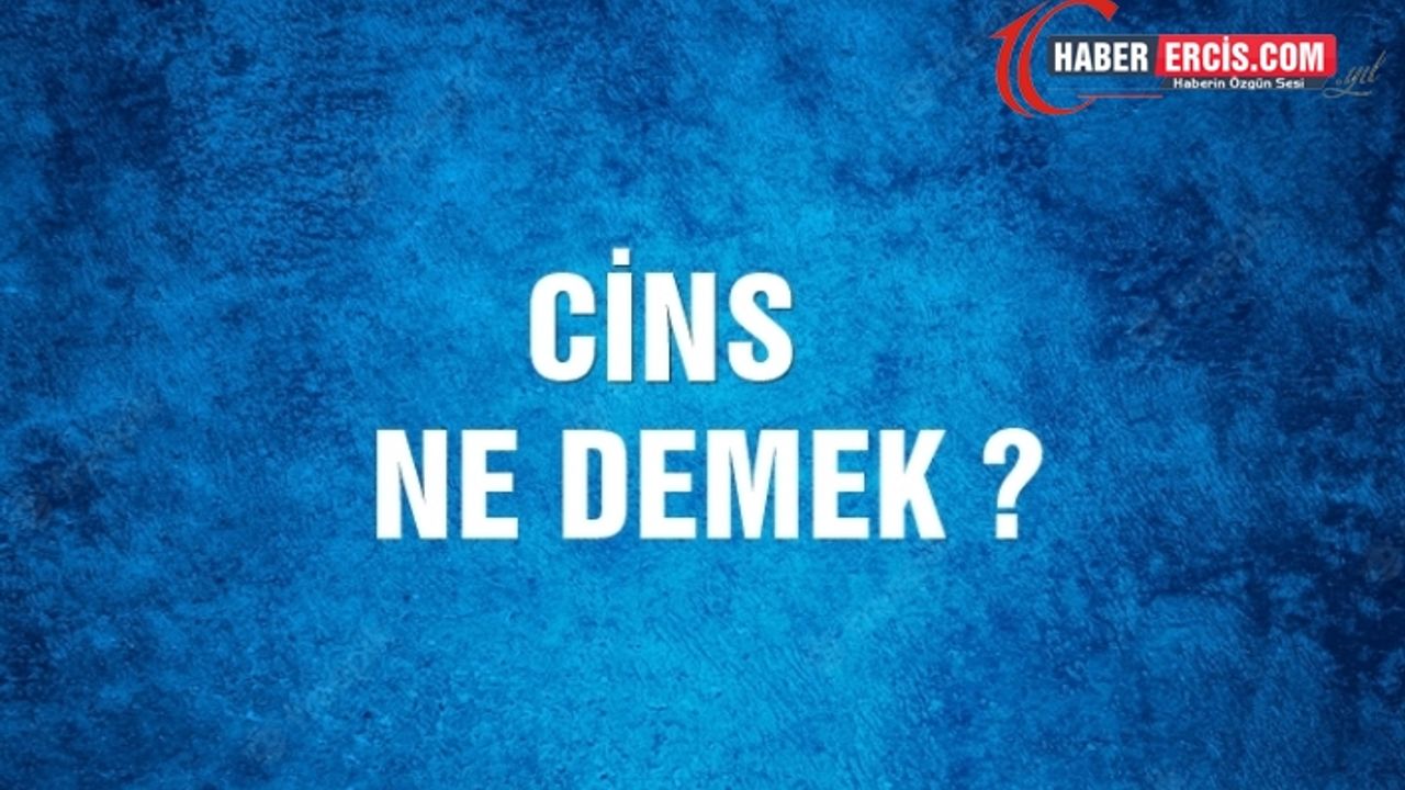 Cins Ne Demek, Ne Anlama Gelir? Cins Kelimesi TDK Sözlük Anlamı Nedir