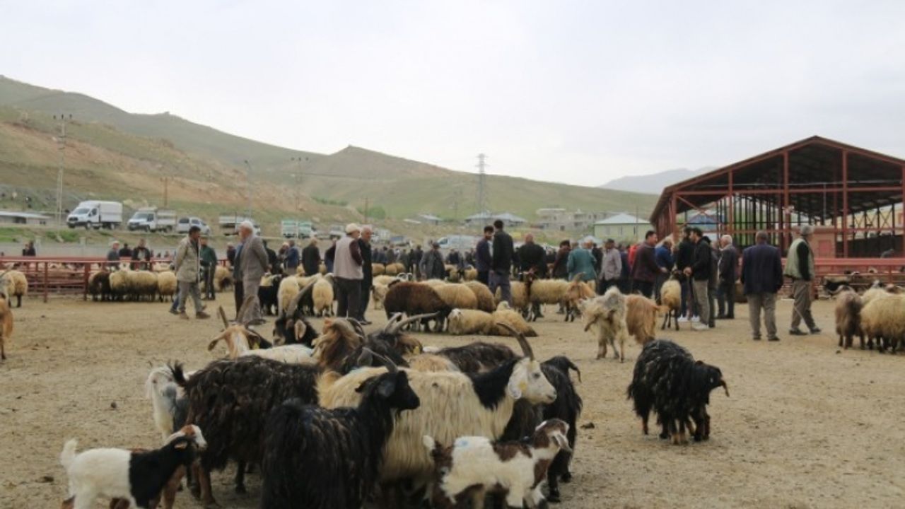 Van'da çiftçinin alım gücü kalmadı