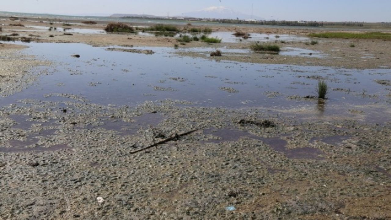 Van Gölü'ne saniyede bin 800 litre kanalizasyon suyu akıtılıyor