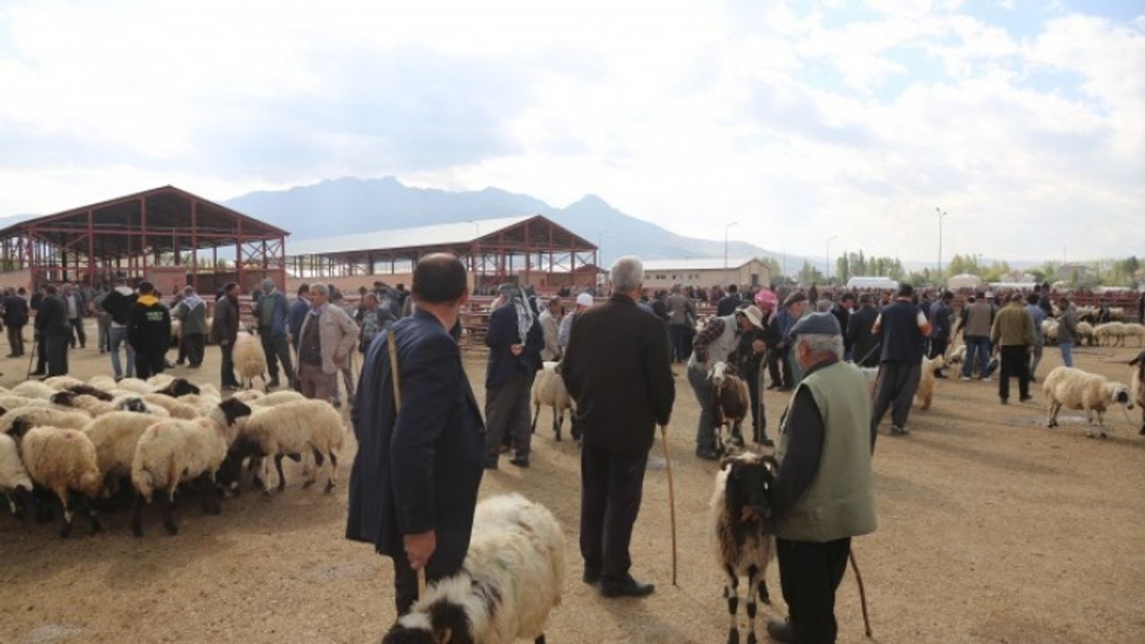 Van'da besiciler dertli: Hayvana verecek arpamız yok
