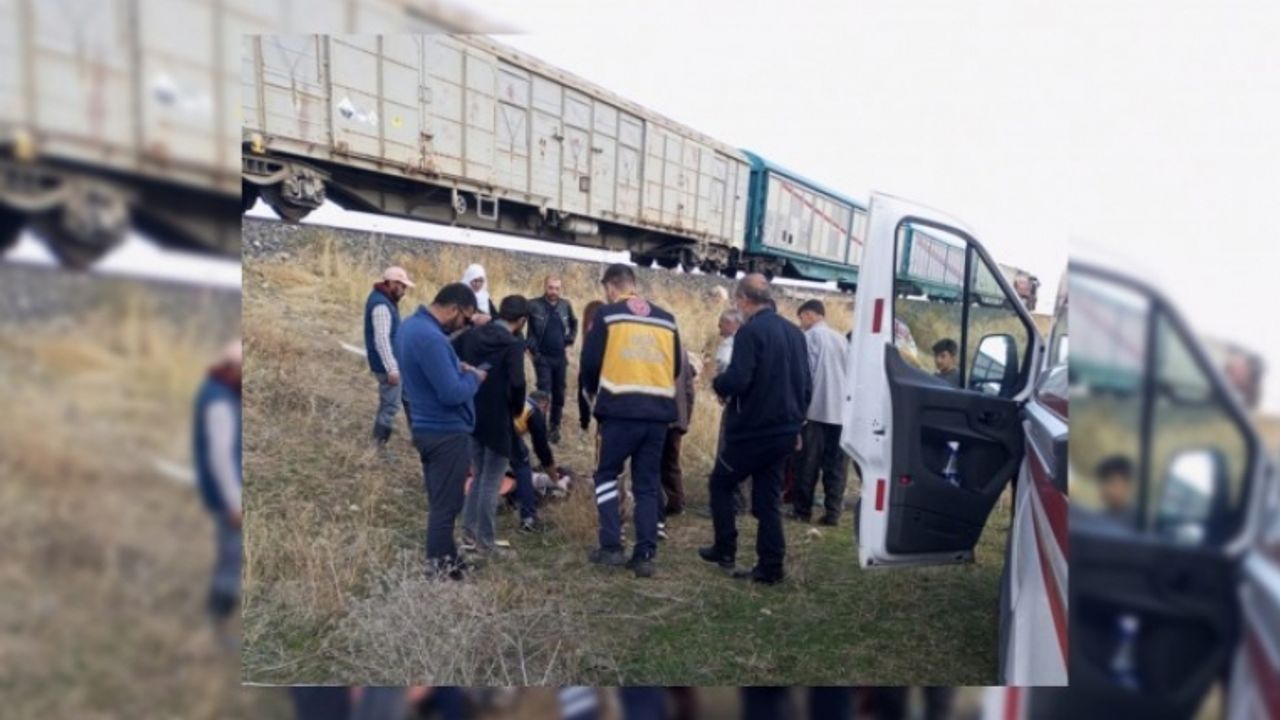 Van'da Koyun sürüsüne tren çarptı