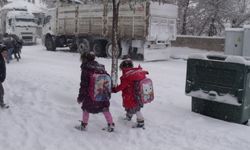 Başkale ve Çaldıran’da okullara kar tatili