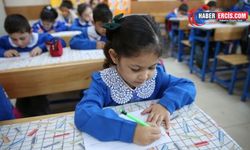 Saray'da vakalar arttı okullar tatil edildi