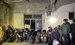 Van'da 13 kaçak göçmen yakalandı