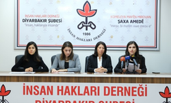 İHD Diyarbakır Şubesi: Bölge kentlerinde en az 34 kadının ölümü şüpheli