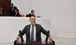 Temelli: Siyasi mahpuslar açlık grevi ile sizi uyarıyorlar
