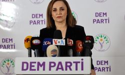 DEM Parti, batıda aday göstereceği il ve ilçeleri açıkladı