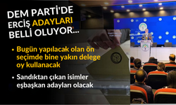 DEM Parti Erciş'te bugün yapılacak olan ön seçimle  Eşbaşkan adaylarını belirleyecek