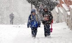 Van'da 4 ilçede kar yağışı nedeniyle okullar tatil edildi