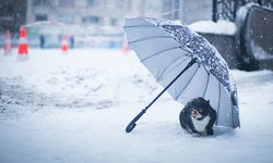 Meteoroloji’den 31 kente kar uyarısı