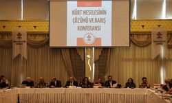 Diyarbakır'da barış konferansı başladı