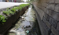 Van'da Temizlenmeyen DSİ kanalı halk sağlığını tehdit ediyor