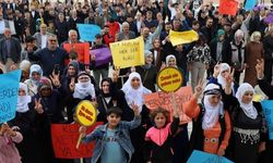 Erciş'te miting: Kürtçeyi her alanda yaşatacağız