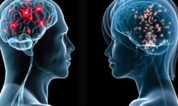 Yapay zekâ, erkek ve kadın beyinleri arasında 'çarpıcı' farklılıklar buldu