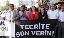 Van ve Adana'da ‘Özgürlüğe ses ver’ eylemi