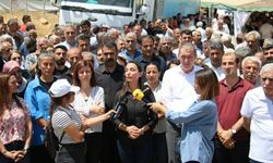 DEM Parti'den Diyarbakır ve Mardin yangınları için çağrı: 'Acilen afet bölgesi ilan edilmeli'