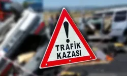 Erciş'te meydana gelen trafik kazasında 14 kişi yaralandı