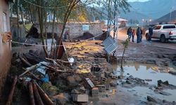 Van'da sel: Hayvanlar öldü, yapılar zarar gördü