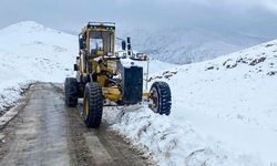 Van’da 158 mahallenin yolu kar yağışı nedeniyle kapandı