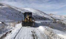 Van’da 21 yerleşim yerinin yolu kapandı