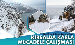 Van Büyükşehir Belediyesi’nden kırsalda karla mücadele çalışması