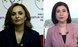 Ayşegül Doğan, Öcalan'ın çağrısı Newroz'a kadar beklemez