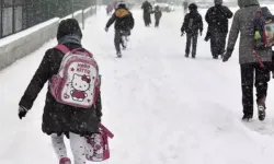 Van ve Ağrı’da olumsuz hava koşulları nedeniyle eğitime ara verildi