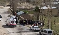 Erciş'te Trafik Kazası: Araç Sürücüsü Ağır Yaralandı