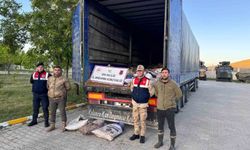 Van'da 19 Ton Kaçak Avlanmış İnci Kefali Ele Geçirildi