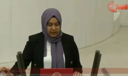 Van Milletvekili Gülderen Varlı, Cezaevlerinde ‘Çıplak Arama’ İddiasını Meclis Gündemine Taşıdı