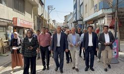 Van’da “Tecrit değil, özgürlük kazanacak” mitingi için hazırlıklar sürüyor