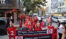 Van’da kayyım yönetimi protesto edildi: 223 işçi için yürüyüş ve basın açıklaması