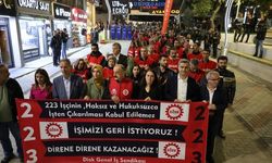 Van'da kayyımın işten çıkardığı 223 işçi 75 gündür direniyor