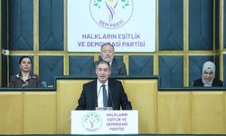 Bakırhan: Demokratik Entegrasyon yasaları birlikte yaşamanın anahtarıdır