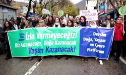 Tülay Hatimoğulları: Muhalefete yönelik baskılara son verin