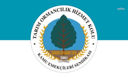 Danıştay, Tarım Bakanlığı'nın 'ilave ödeme kesintisi'ne ilişkin uygulamasını iptal etti