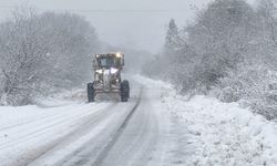 4 ilde 778 yerleşim yerinin yolu kapandı