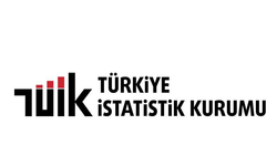 TÜİK: Aralık ayında enflasyon aylık 0,89, yıllık yüzde 30,89