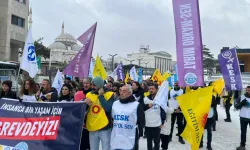 Van’da kamu emekçileri iş bıraktı: “Grev haktır, ek zam hemen şimdi!”