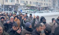 Rojava’ya yönelik saldırılara karşı Çaldıran’daki yürüyüşe Erciş Belediye Eş Başkanı Baran Bilici katıldı