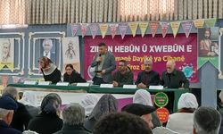 Erciş’te 21 Şubat Uluslararası Anadil Günü kapsamında Kürtçe paneli düzenlendi